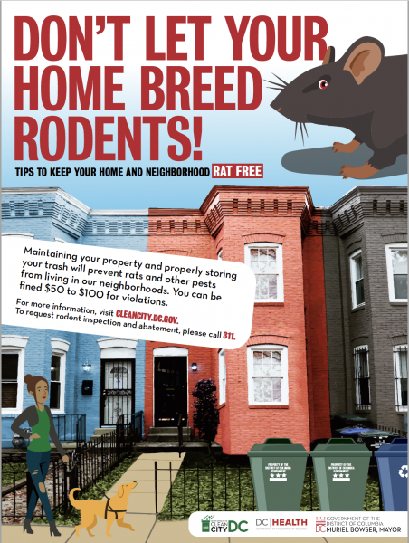 Rodent Prevention | Mayors Office of Community Affairs